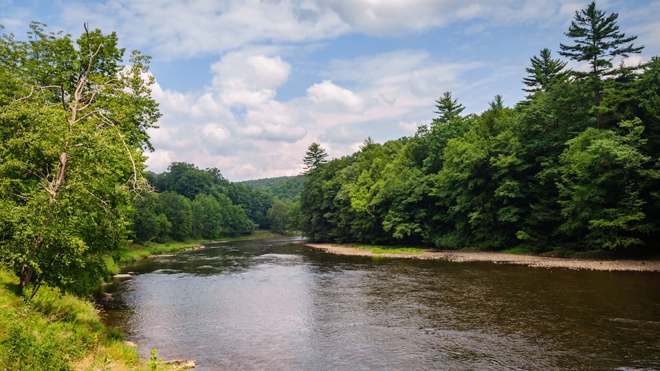 A river flowing through a forested area with dense trees and a clear sky.
