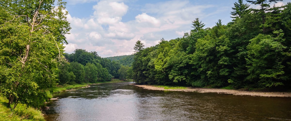 Cook Forest State Park