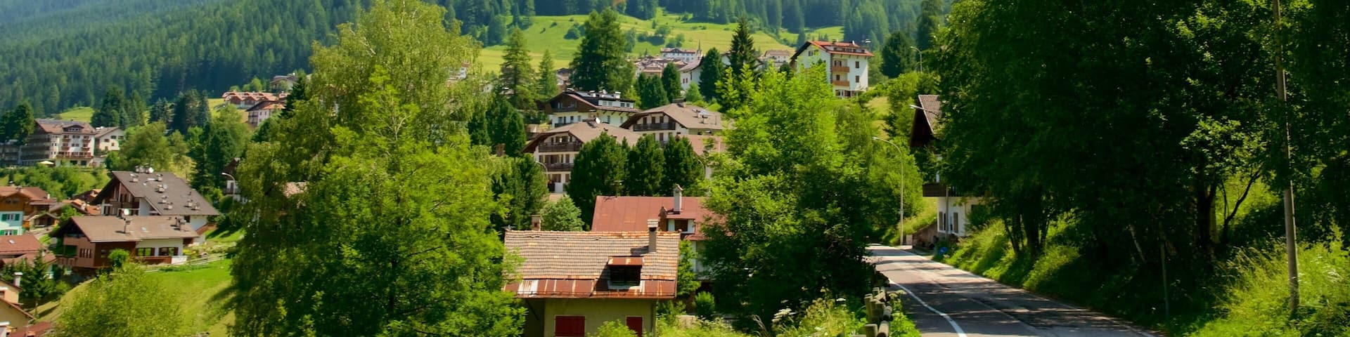 Moena which includes forests