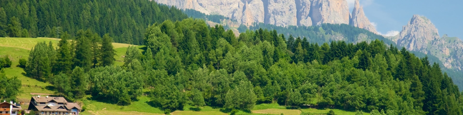 Moena caracterizando cenas de floresta e montanhas