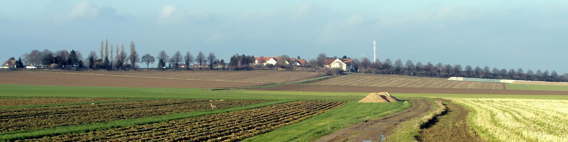 Der Gipsberg in Ronnenberg in der Region Hannover in Niedersachsen von Süden gesehen. In Bildmitte das Südende der Strasse Mühlenrär, links am Bildrand Felsenburg.