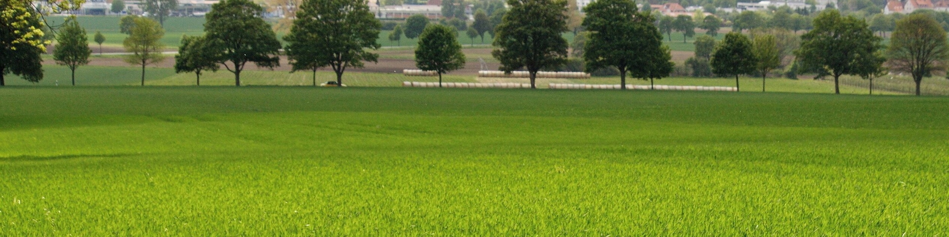 Un campo verde con árboles y un pueblo lejano.