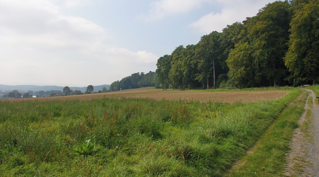 Blick am Benther Berg in Niedersachsen, Deutschland