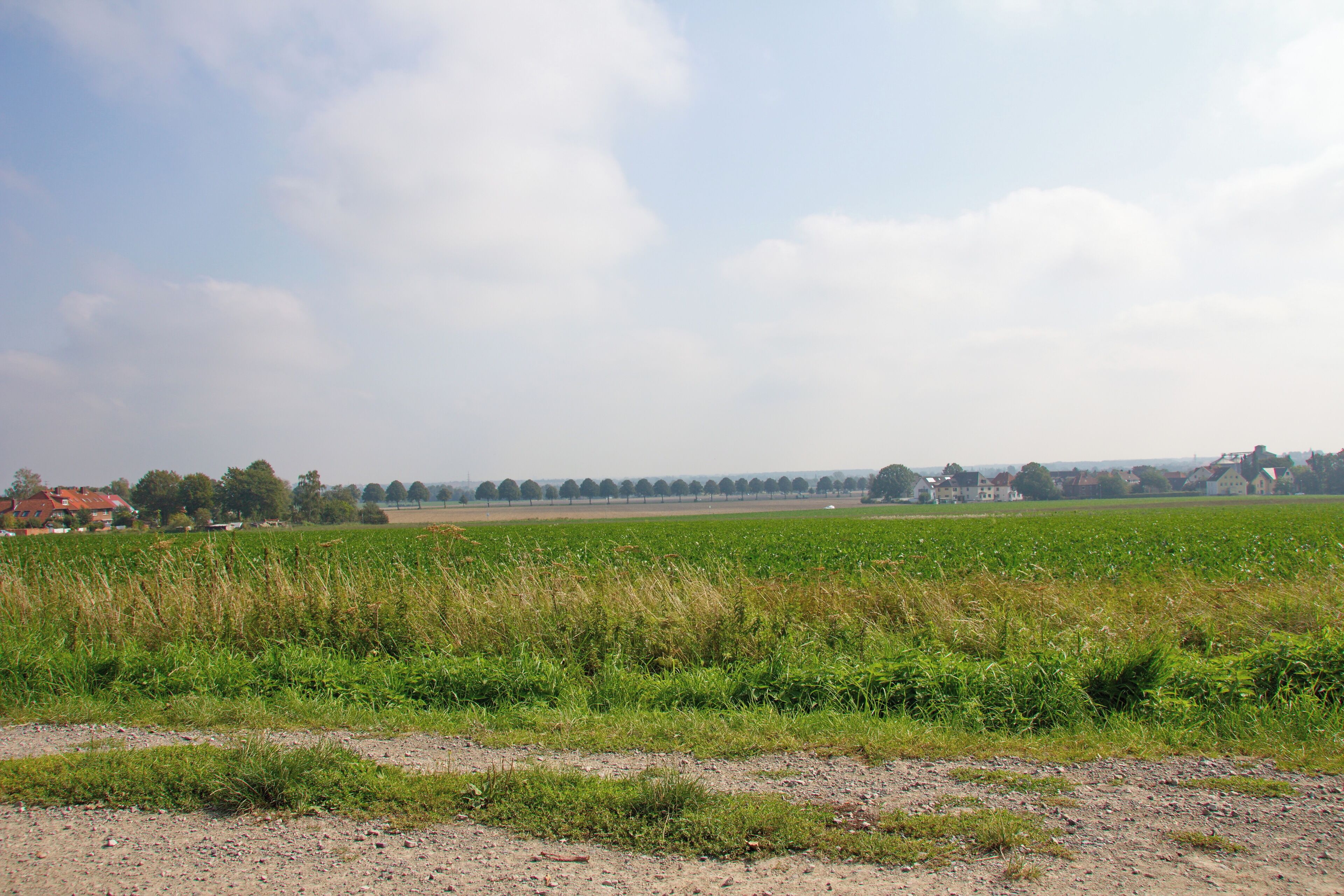 Blick am Benther Berg in Niedersachsen, Deutschland