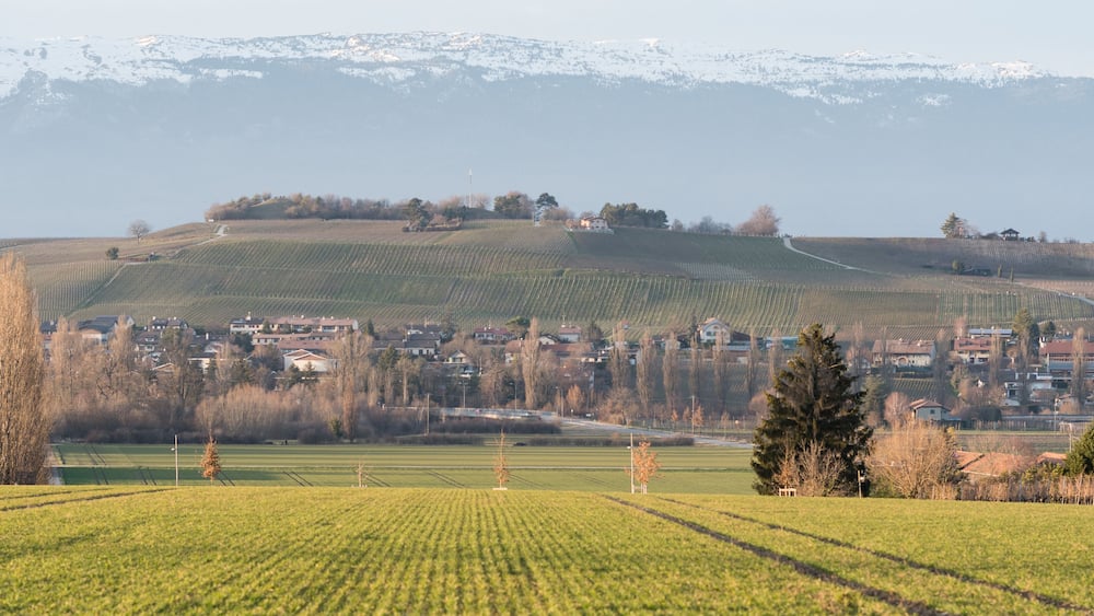 rural landscape in switzerland