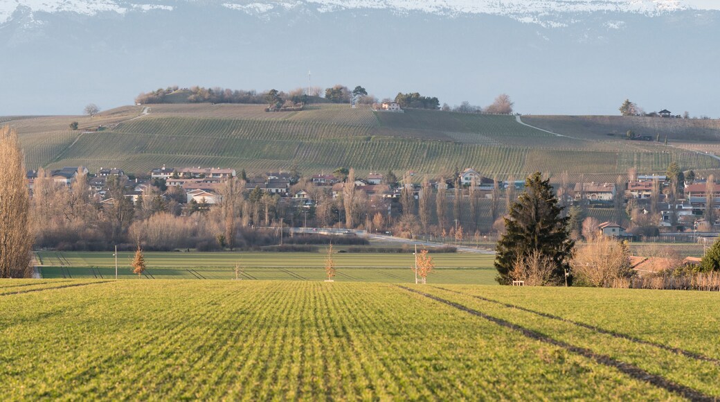 rural landscape in switzerland