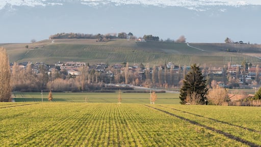 rural landscape in switzerland