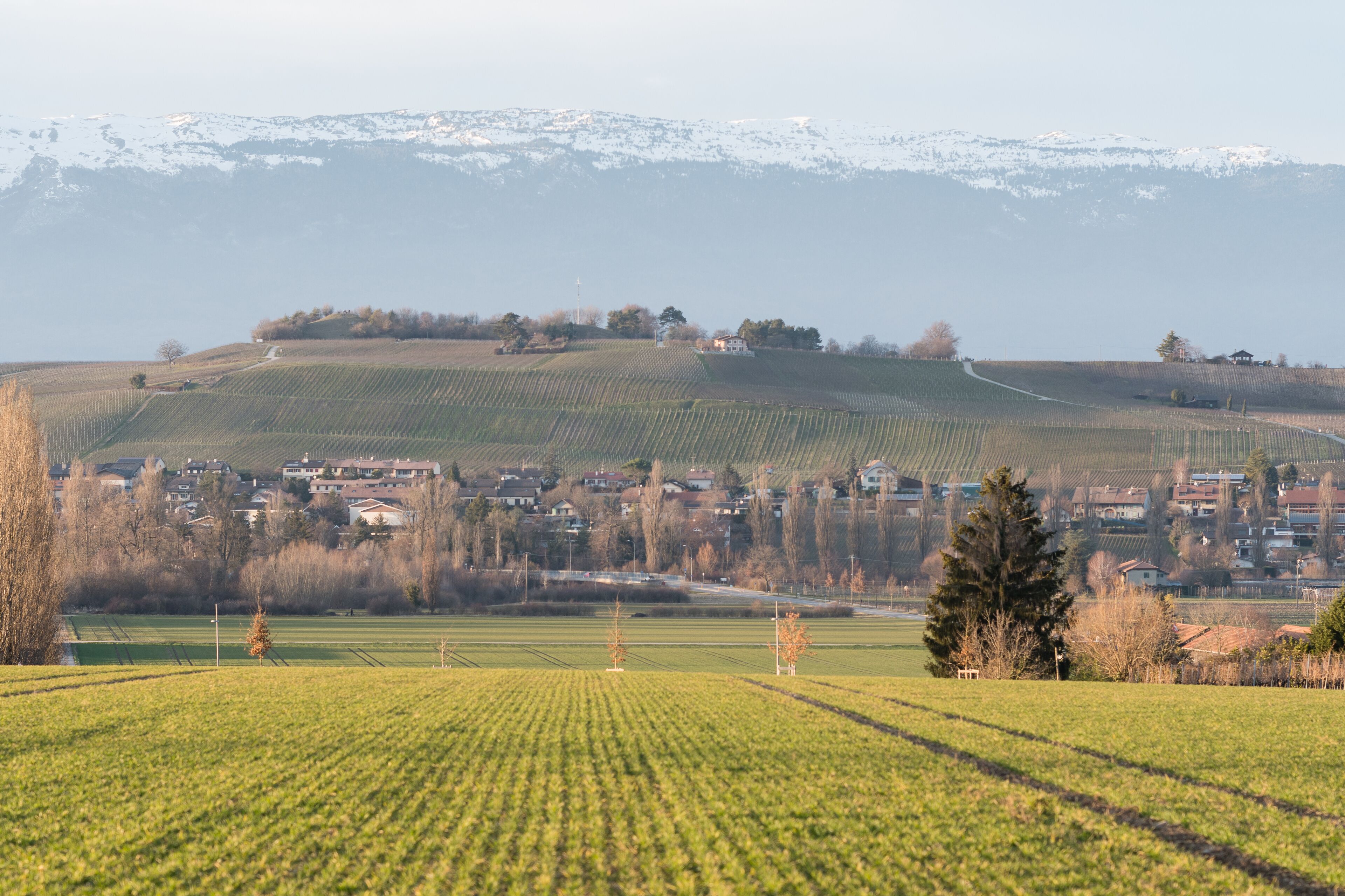 A rural landscape with a village nestled in the valley, surrounded by fields and a mountain range with snow-capped peaks in the background.