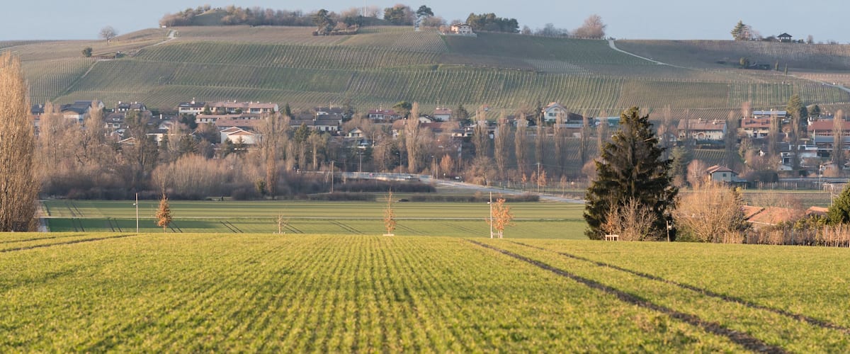A rural landscape with a village nestled in the valley, surrounded by fields and a mountain range with snow-capped peaks in the background.
