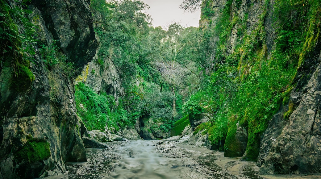 Mountain gorge with caves and little river from the portuguese touristic site of Olhos de Agua - Alviela - Alcanena