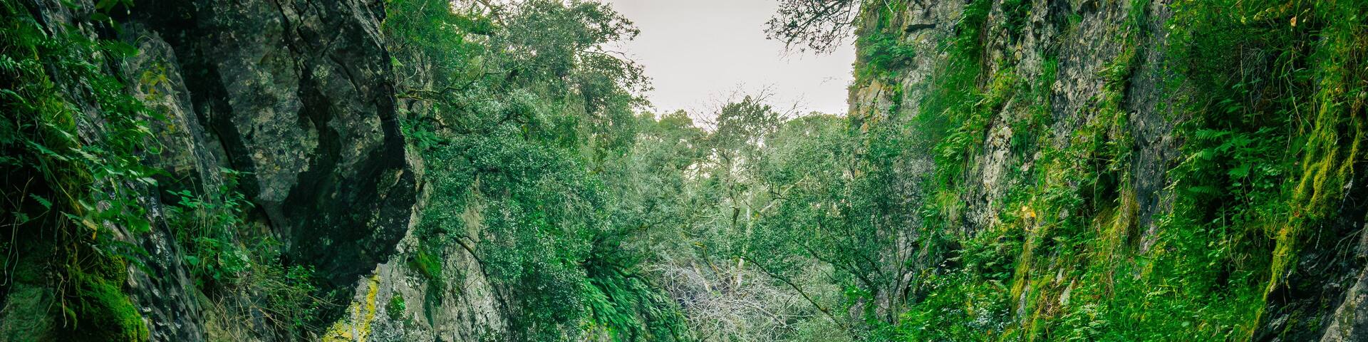 Mountain gorge with caves and little river from the portuguese touristic site of Olhos de Agua - Alviela - Alcanena