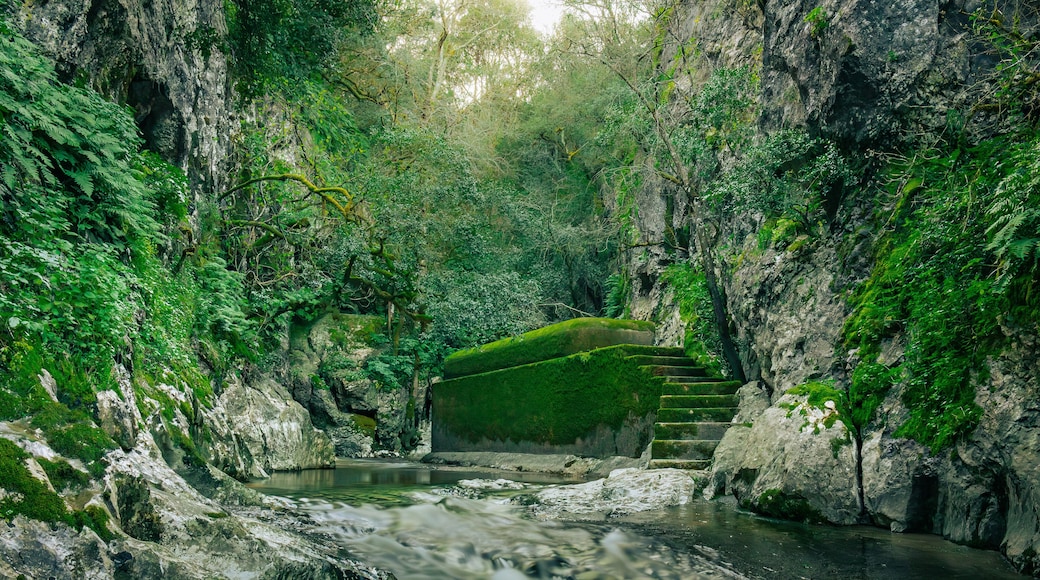 Mountain gorge with caves and little river from the portuguese touristic site of Olhos de Agua - Alviela - Alcanena