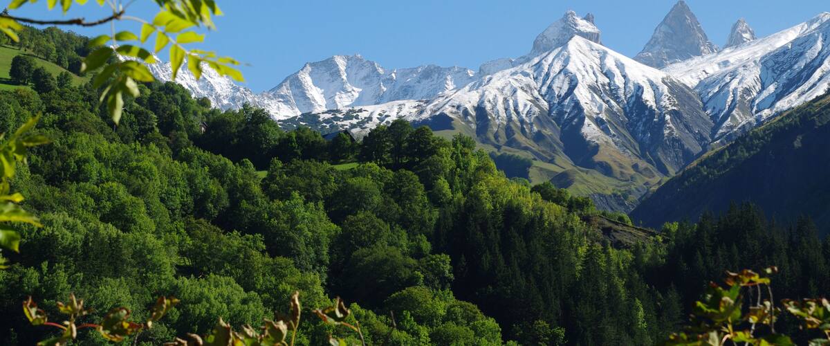 A mountainous landscape with snow-capped peaks, dense green forest, and clear blue sky.