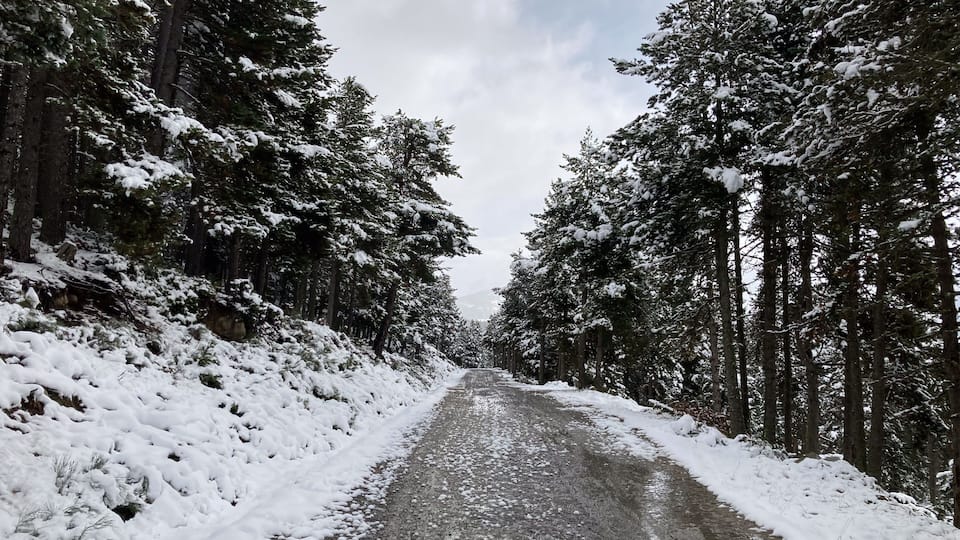 Snowy winter road winding through pine forest in Pyrenees Orientales, France