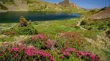 A lake surrounded by green hills, a clear sky, and a path leading to a mountain.