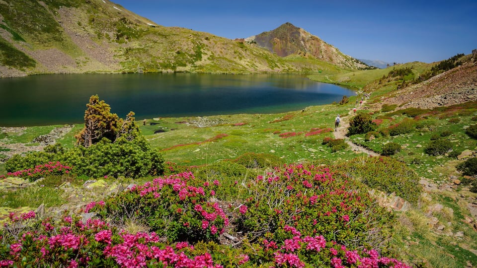 A lake surrounded by green hills, a clear sky, and a path leading to a mountain.