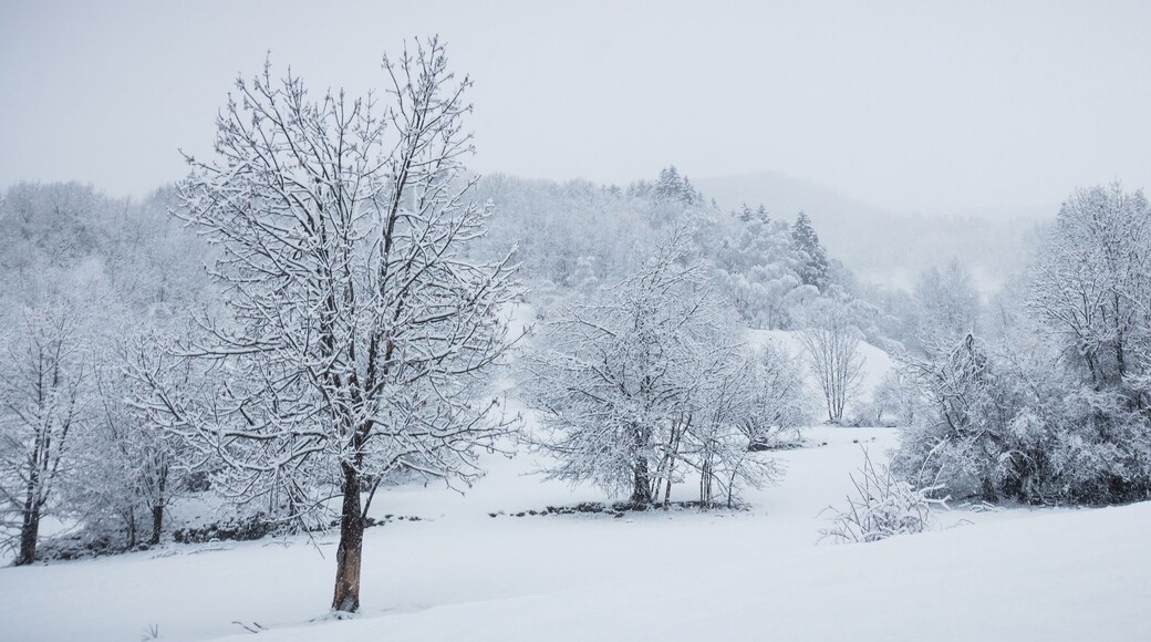 paysage sous la neige en hiver dans les alpes en France dans l'Oisans à Vaujany