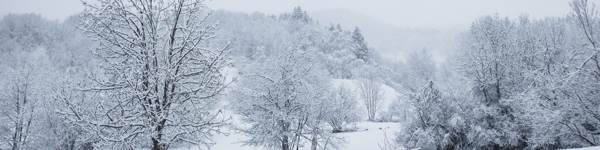 A snow-covered landscape with trees and a path.