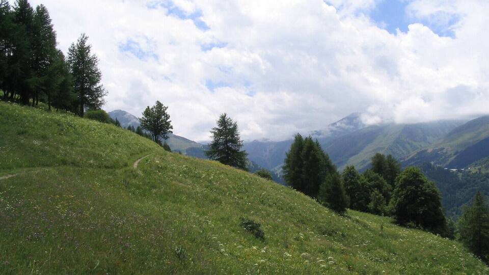 A grassy hillside with a winding path, trees, and distant mountains under a partly cloudy sky.