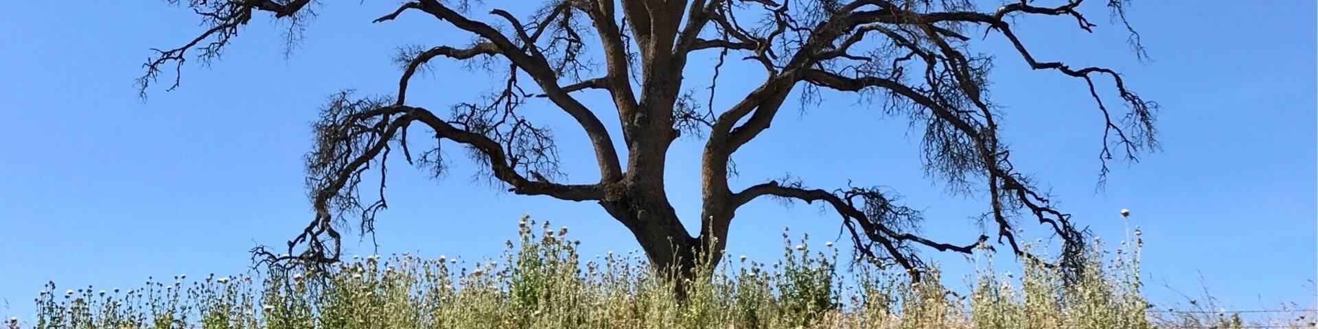 On the way to Yosemite