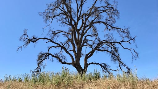 On the way to Yosemite