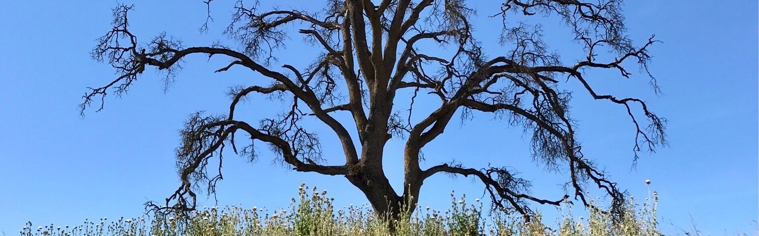 On the way to Yosemite