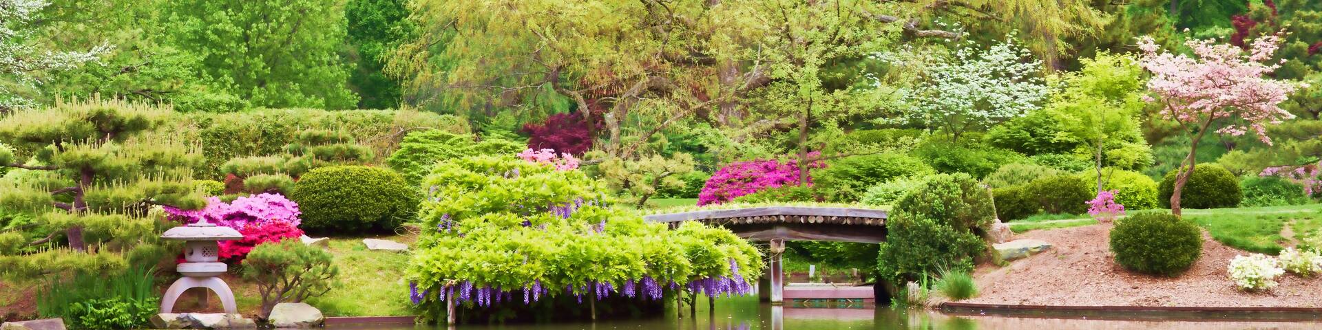 A serene garden with a pond, cherry blossoms, and a traditional Japanese bridge.