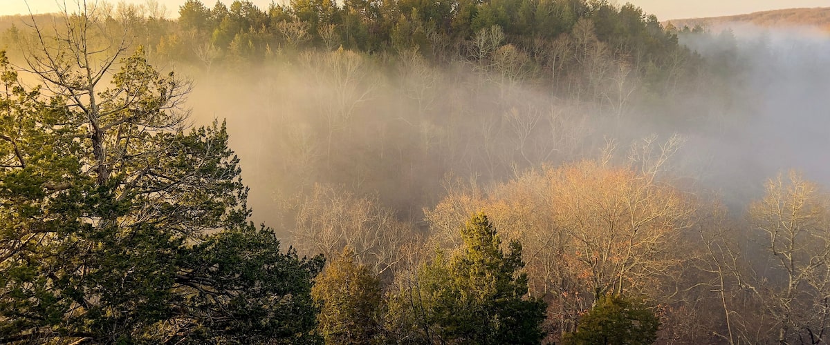 Morning Mist In Valley