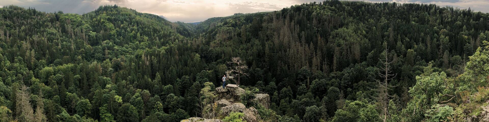 Panoramic shot of rocky mountains and woods under a cloudy sky in Bad Steben and Lichtenberg Germany