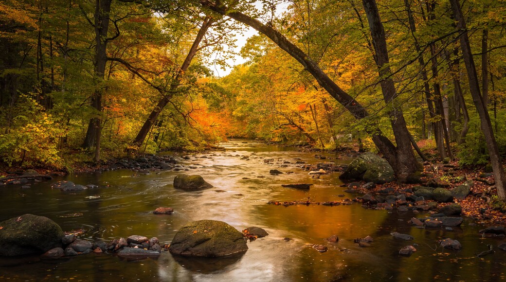 هاكيتستاون