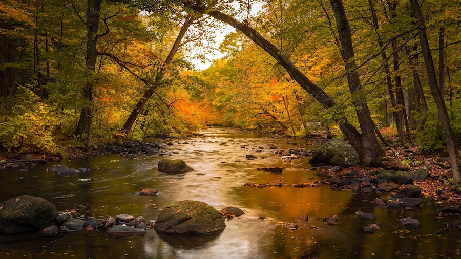 Autumn foliage along the Musconetcong River in Stephens State Park, Hackettstown, NJ