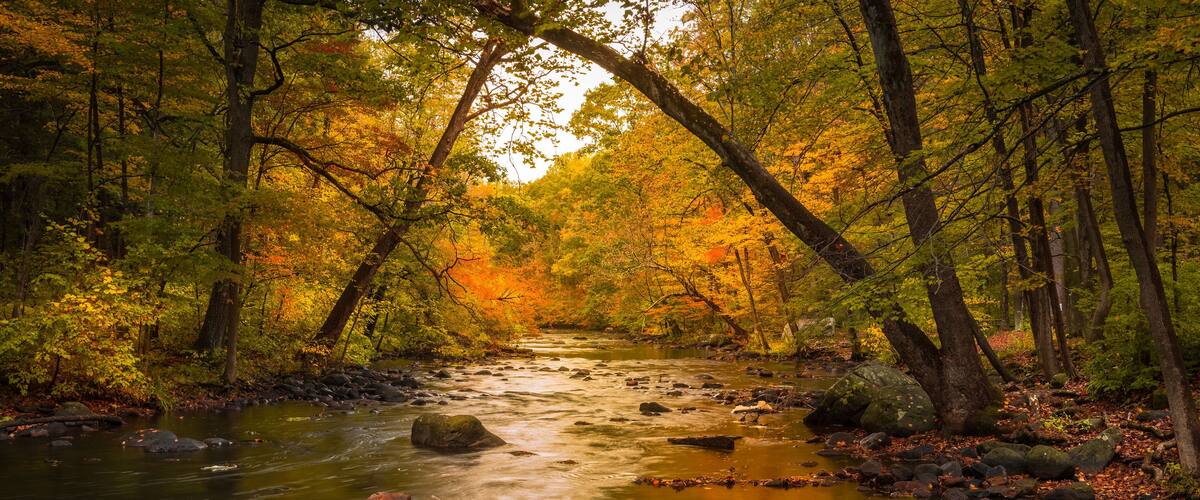 Autumn foliage along the Musconetcong River in Stephens State Park, Hackettstown, NJ