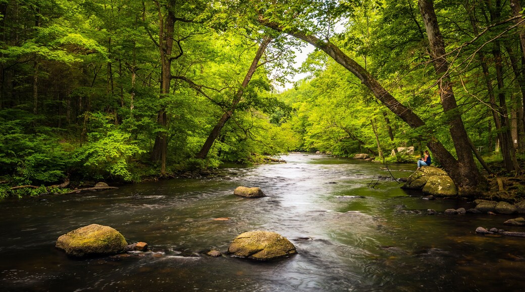 هاكيتستاون