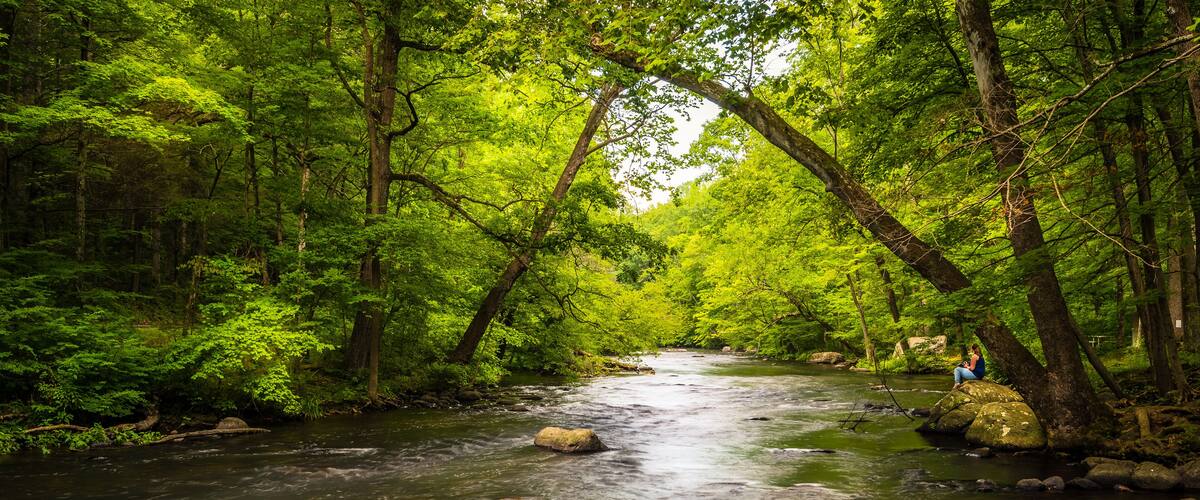 Un fiume serpeggia attraverso una fitta foresta, con grosse rocce immerse nell'acqua e una persona seduta su una roccia lungo la riva.
