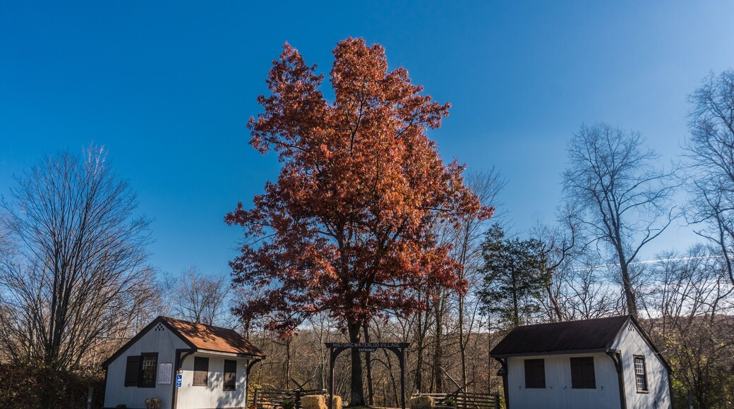 هاكيتستاون