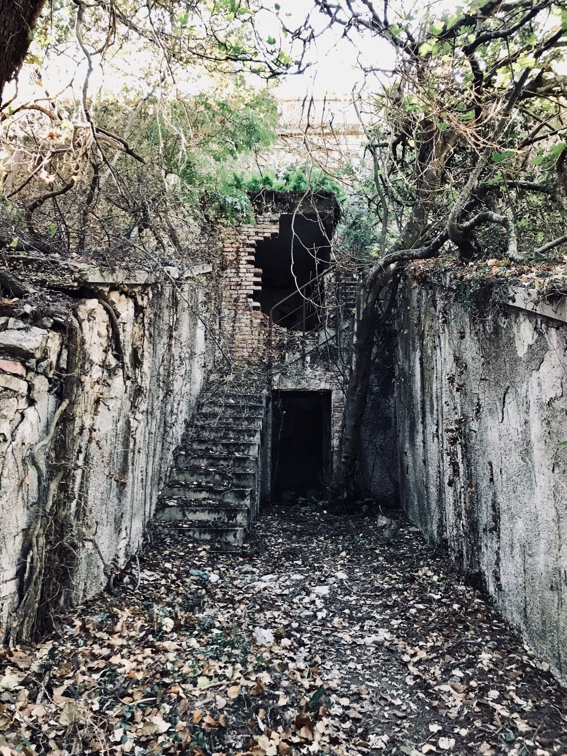 Cool old buildings tucked in the foliage throughout. 