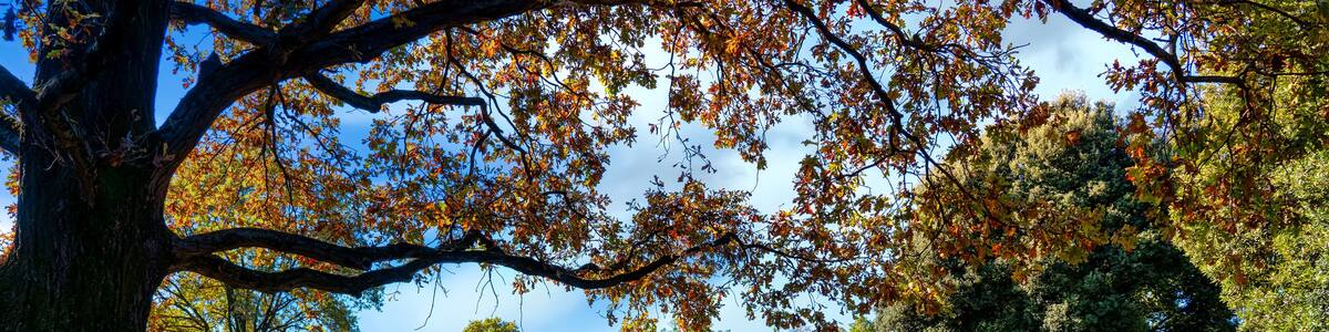 German Military Cemetery of Costermano, located in a hilly area on the eastern shore of Lake Garda in the municipality of Costermano, Italy