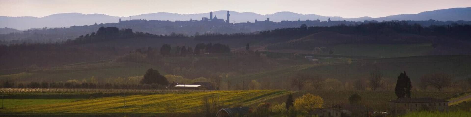 The skyline of Siena from Montaperti