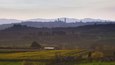 The skyline of Siena from Montaperti