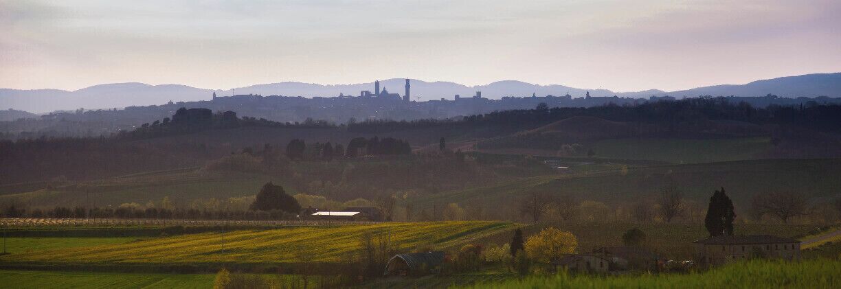 Rolling hills, fields, and a distant city skyline with a prominent tower.