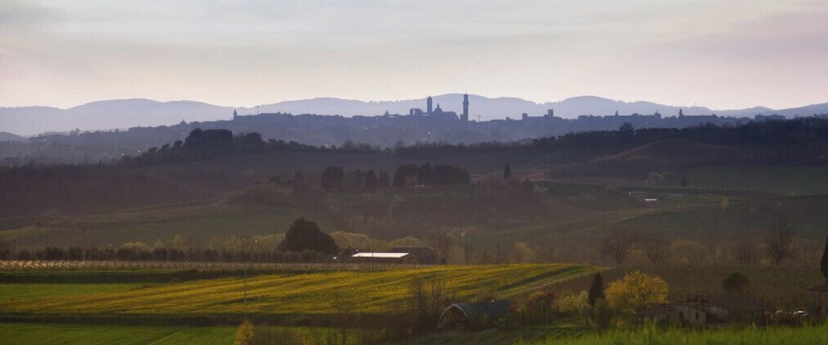 Rolling hills, fields, and a distant city skyline with a prominent tower.