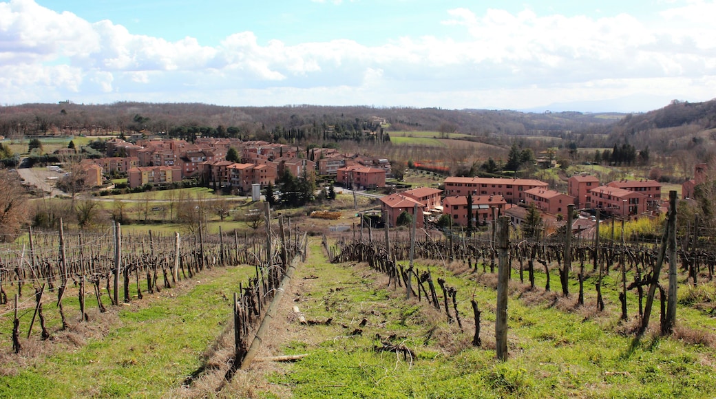 Ponte a Bozzone, hamlet of Castelnuovo Berardenga, Province of Siena, Tuscany, Italy
