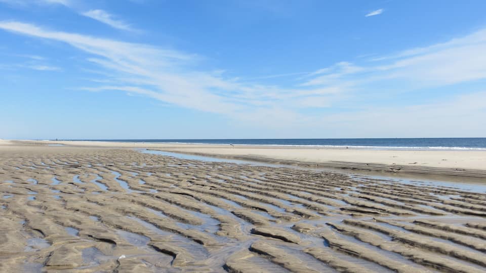 A beach with wet sand patterns and a clear blue sky.
