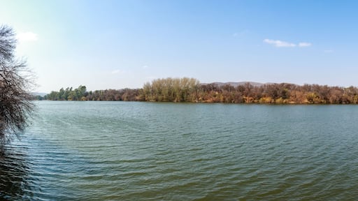 Een rustige rivier met een bebost oever en heuvels in de verte.
