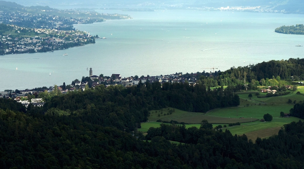 Thalwil