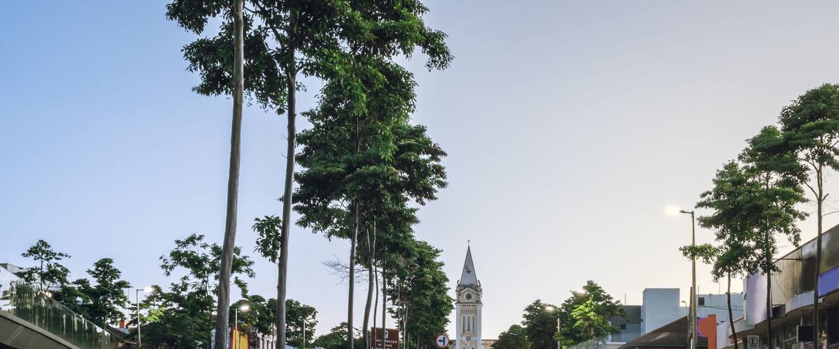 A city street with a clock tower, trees, and buildings.