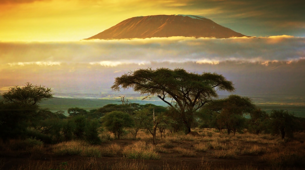Mount Kilimanjaro and clouds line at sunset, view from savanna landscape in Amboseli, Kenya, Africa