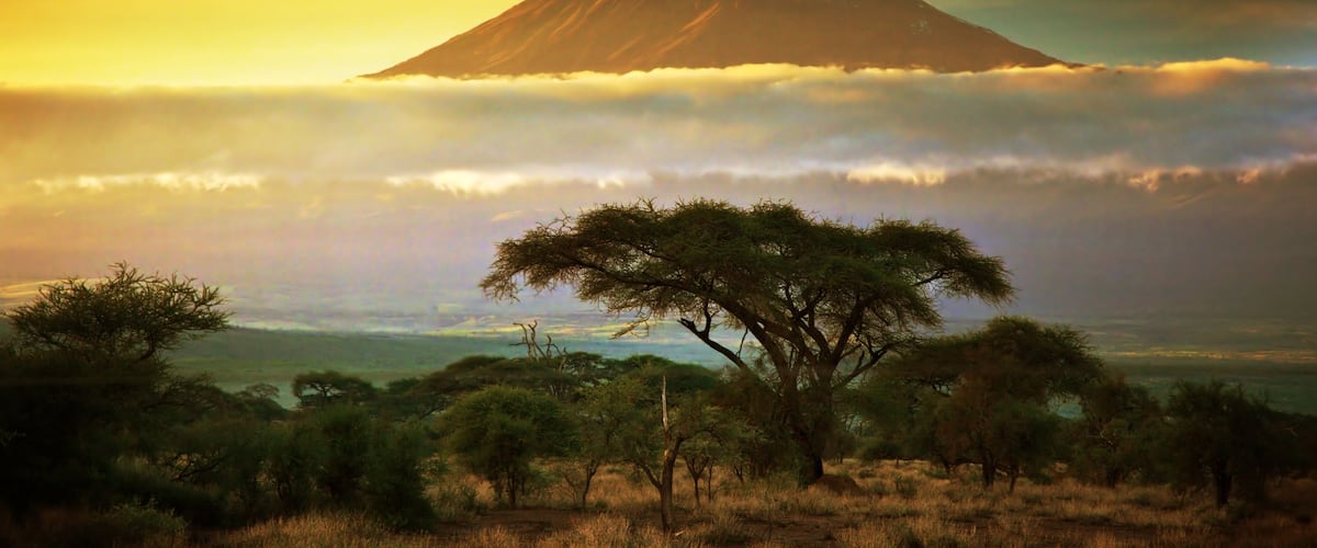 Mount Kilimanjaro and clouds line at sunset, view from savanna landscape in Amboseli, Kenya, Africa