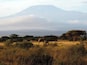 A savanna landscape with a mountain in the background, a solitary elephant, and scattered trees.