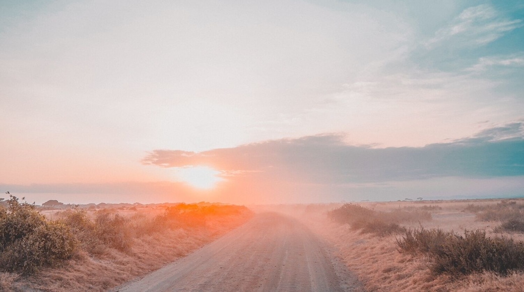 Sunsets in Africa are amazing... Evening in the Amboseli NP in Kenya. #lifeatexpedia #safari